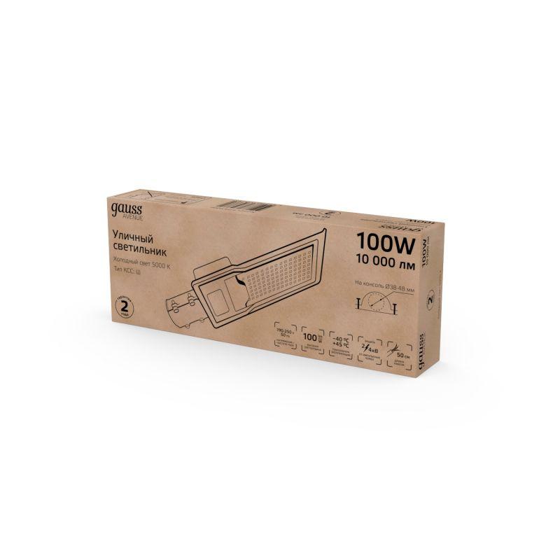 Светильник светодиодный Avenue 100Вт 5000К IP65 10000лм 190-250В 420х160х57мм ДКУ уличный консольный