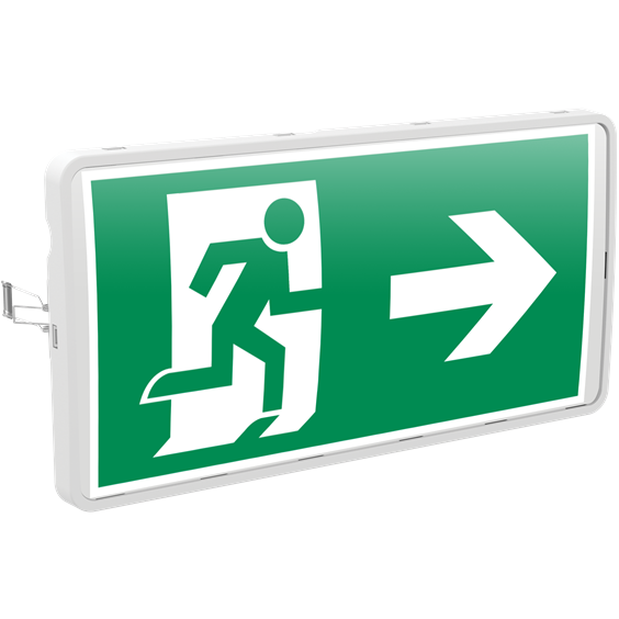 Указатель световой Spectum Emergency 5Вт IP65 3ч диммер DALI AWADA DA2-ES-1S-6530