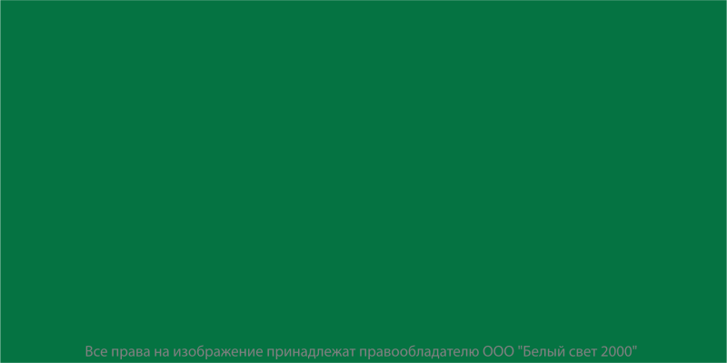 Знак безопасности BL-4020.E00 