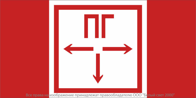 Знак безопасности NPU-2110.F09 