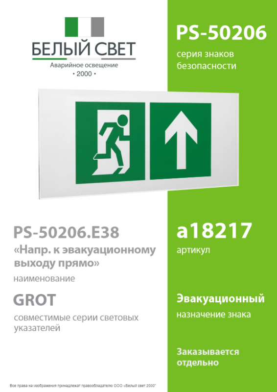Знак безопасности PS-50206.E38