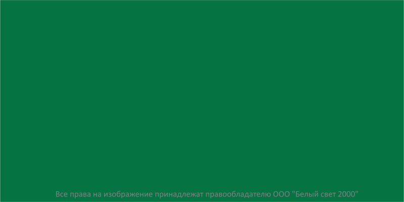 Знак безопасности BL-3015B.E00 