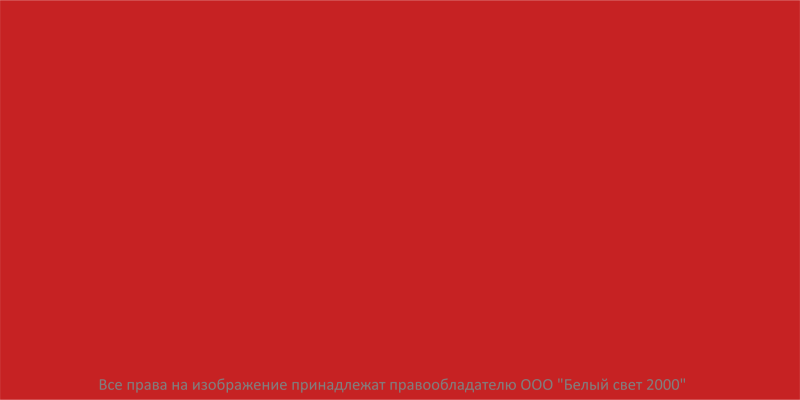 Знак безопасности BL-3015.F00 