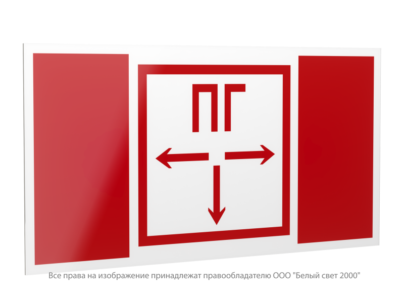 Знак безопасности PP-40205.F09 