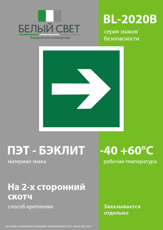 Знак безопасности BL-2020B.E02-01 