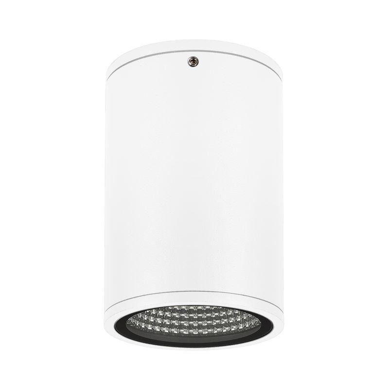 Светильник LGD-FORMA-SURFACE-R90-12W Warm3000 (WH 44 deg 230В) (IP54 металл) Arlight 037261