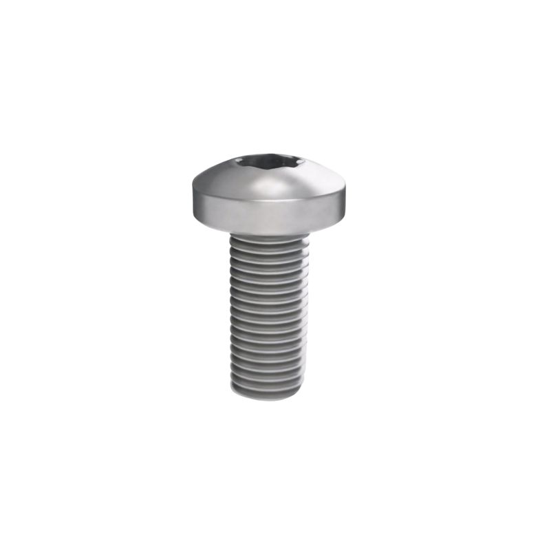 Винт M5х25 РАМ Пауэр (RAM power) для шинного держателя (уп.20шт) DKC R5SCM5X25