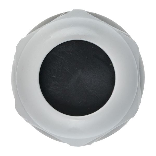 Сальник PG25 d16-21мм (d отверст. 31мм) IP54 PROxima EKF plc-pg-25-r