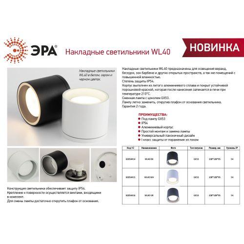 Светильник WL40 GR GX53 IP54 настен./потолочн. спот сер. Эра Б0054416