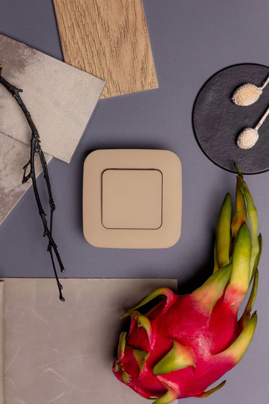 Выключатель кнопочный 1-кл. СП FLITE ВС11-2-0-ФлШм 10А механизм шамуа IEK FI-V14-0-10-1-K89