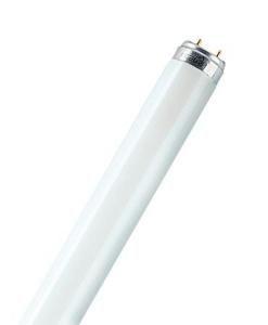 Лампа люминесцентная L 30W/860 PLUS 30Вт T8 6500К G13 OSRAM 4050300518015