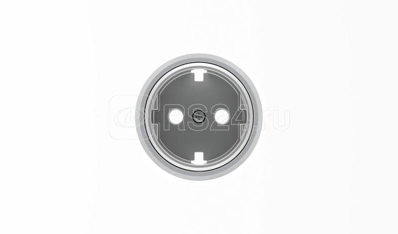 Накладка 1-м СП Sky Moon 16А IP20 кольцо для розетки Schuko с плоск. поверхностью хром. ABB 2CLA868890A1401 купить в интернет-магазине RS24