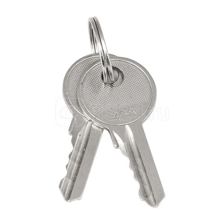 Ключ для замка (арт. 18-20/38-ip31) PROxima EKF key-1 купить в интернет-магазине RS24