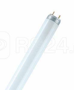 Лампа люминесцентная L 36W/965 36Вт T8 6500К G13 OSRAM 4008321111395 купить в интернет-магазине RS24