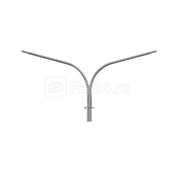 Сексуалды сәби