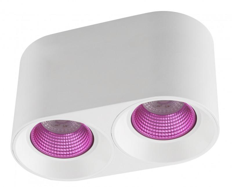 Светильник 10Вт GU5.3 IP20 LED накладной пластик бел./роз. DENKIRS 665715