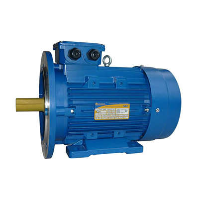 Электродвигатель 5АИ 100 L4 4/1500 IM2081 Элком 01.01.213681