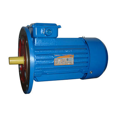 Электродвигатель 5АИ 90 L6 1.5/1000 IM3081 Элком 01.01.213677