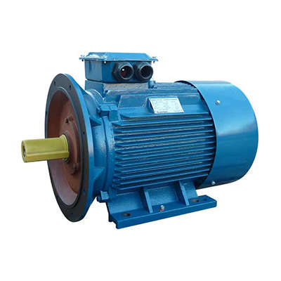 Электродвигатель 5АИ 250 М6 55/1000 IM 2001 Элком 01.01.213759